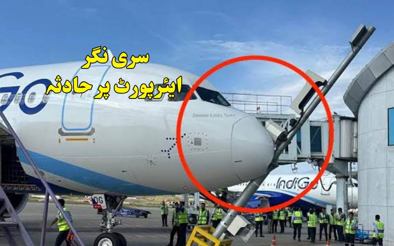 لینڈنگ کے بعد انڈیگو طیارہ کھمبے سے ٹکرایا، مسافروں میں خوف 